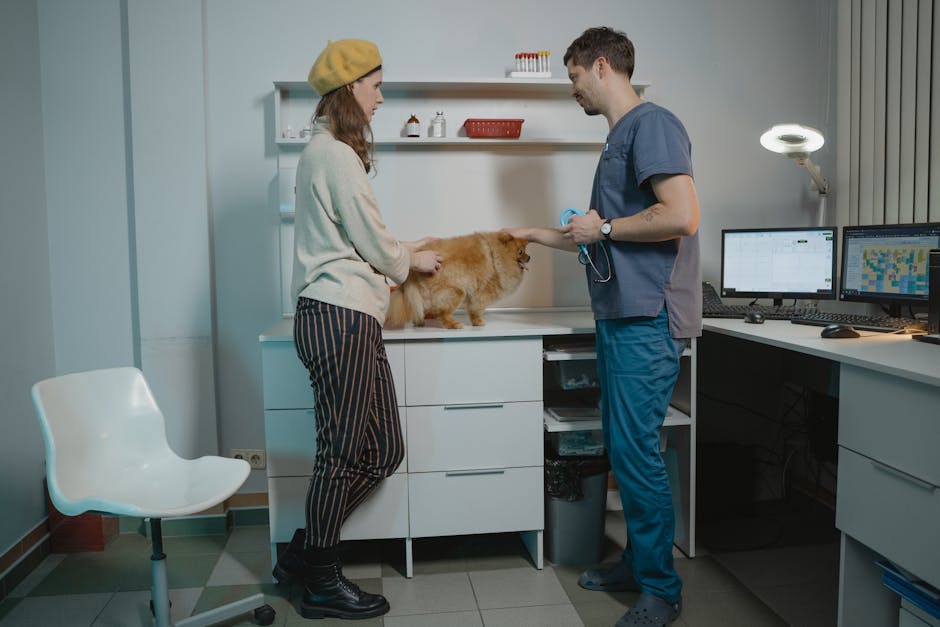 犬猫の動物病院選び方2025【信頼できる医療機関の見極め方】