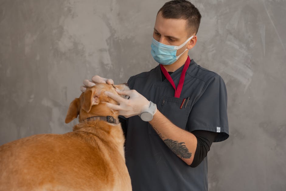 小型犬向けペット保険|安い保険料の選び方