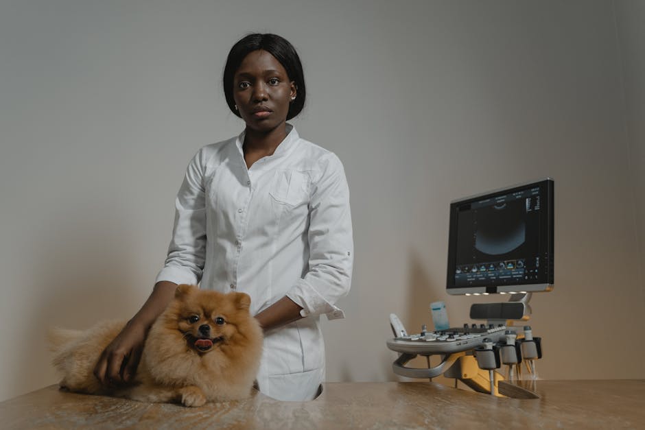 犬の健康管理|2025年版!失敗しない動物病院・選び方ガイド