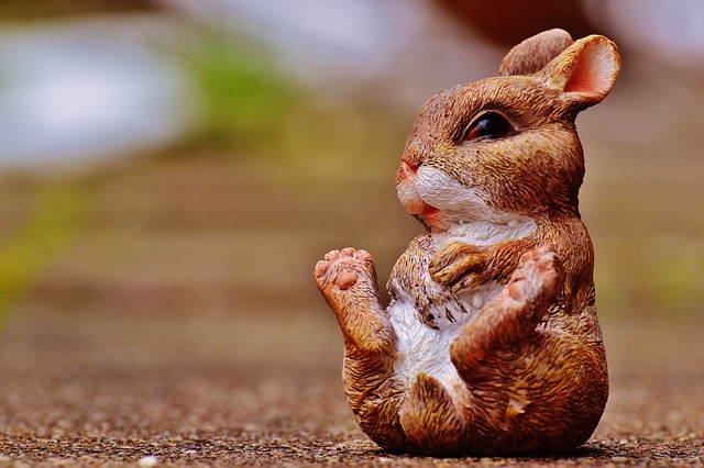 うさぎ